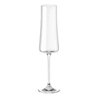 Jogo 6 Taças Cristal P/ Espumante Pleasure 210ml Haus